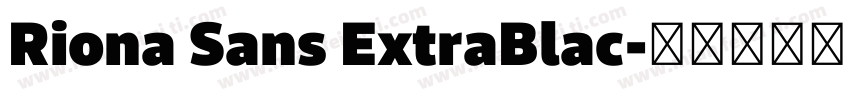 Riona Sans ExtraBlac字体转换